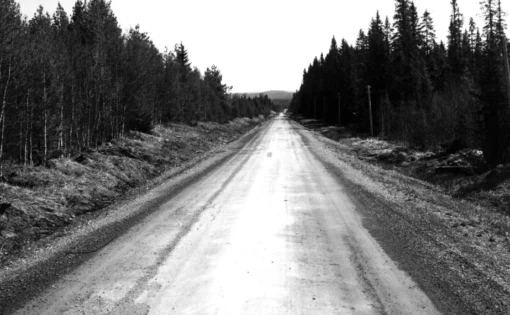 Skogsnäs