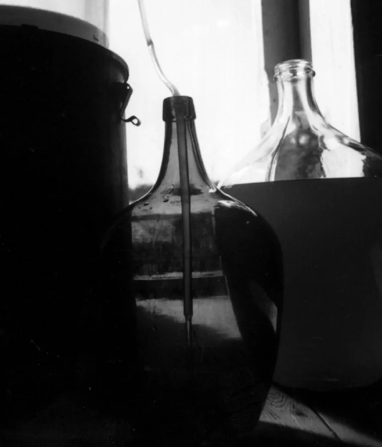 Jästa drycker