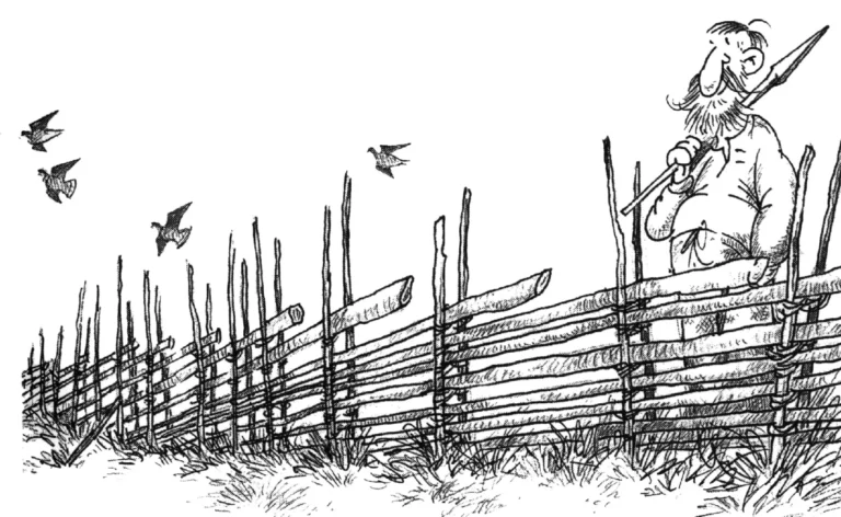 Stängsel