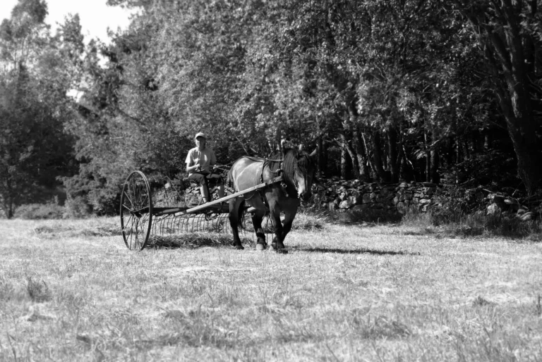 Maten på Svingsåsen