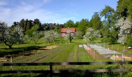 Ålbrunna gård