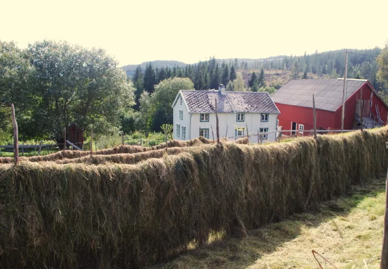 Heggen gård