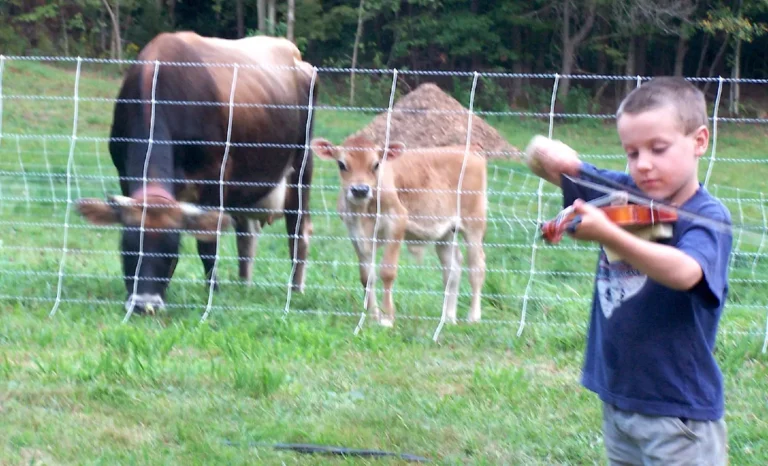 Bittersweet Hill Farm