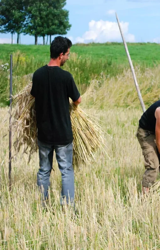 Wwoof på Bosssgården