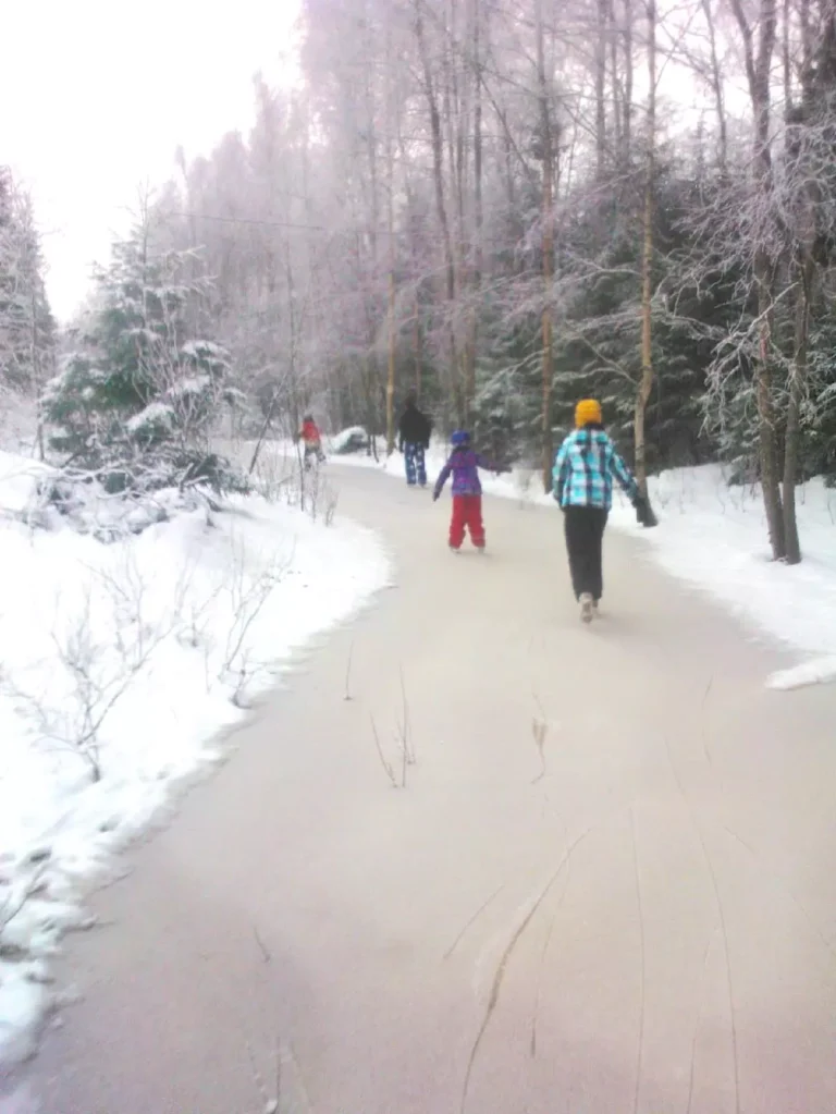 Flemmingsbacken