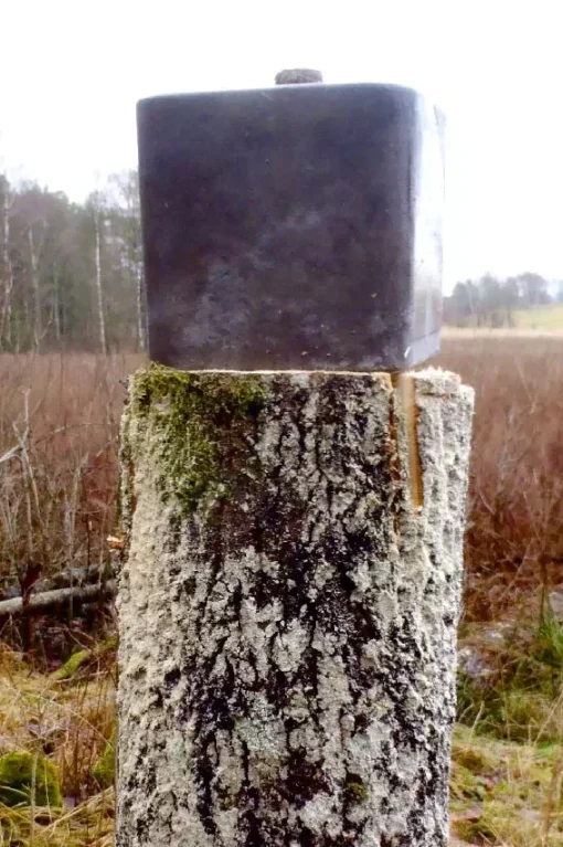 Om saltstenar