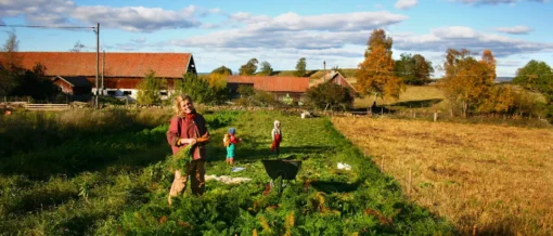 Enkel självhushållning