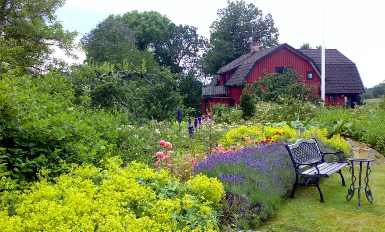 En användbar läketrädgård