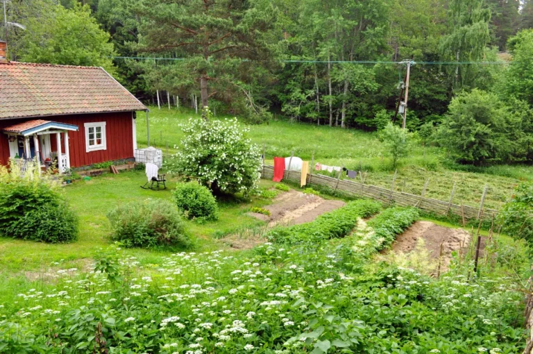 Utflyttarbrev från Biberget