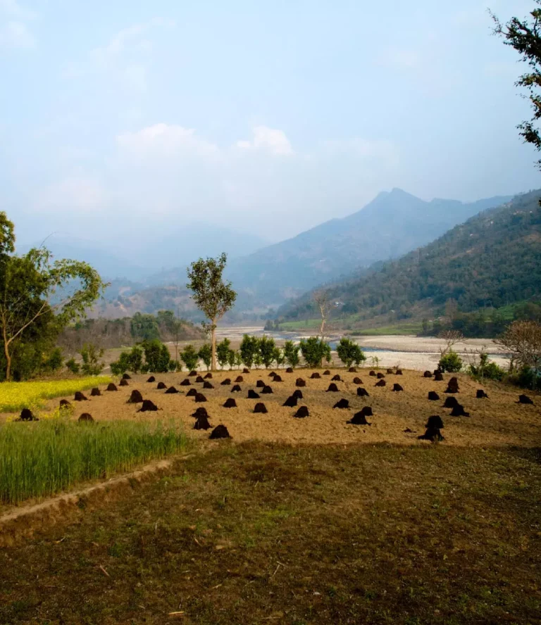 Självhushållning i Jyamrung, Nepal