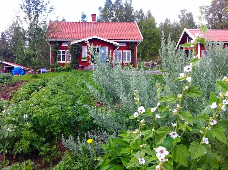 25 år senare