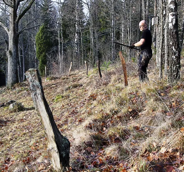 Stolpar av kluven ek