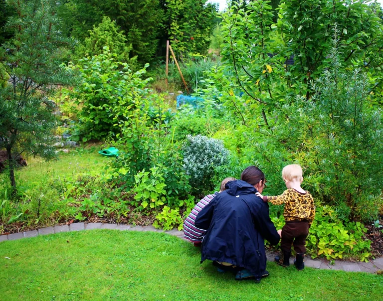 Skogsträdgården