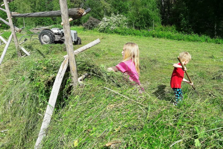 Hässjning med stånghässja