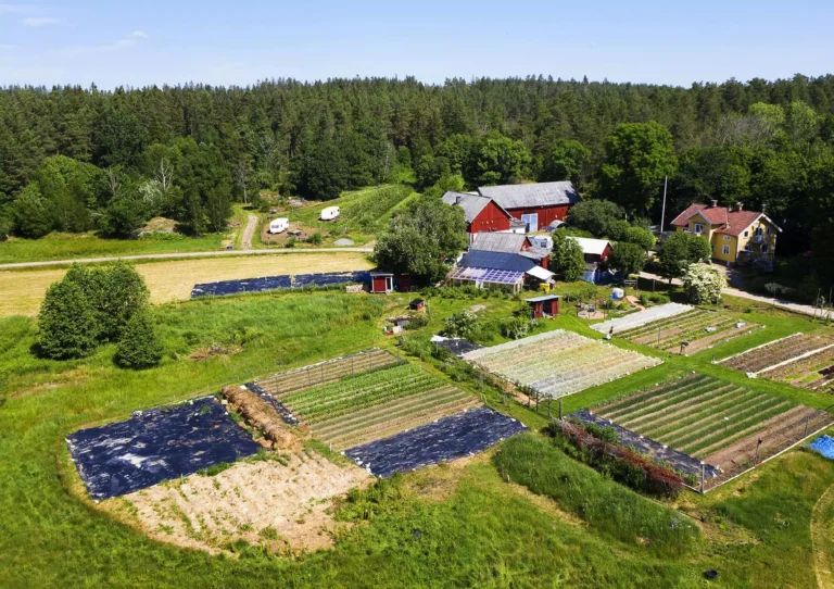 Östängs gård, del 1