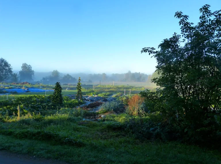 Östängs gård del 2