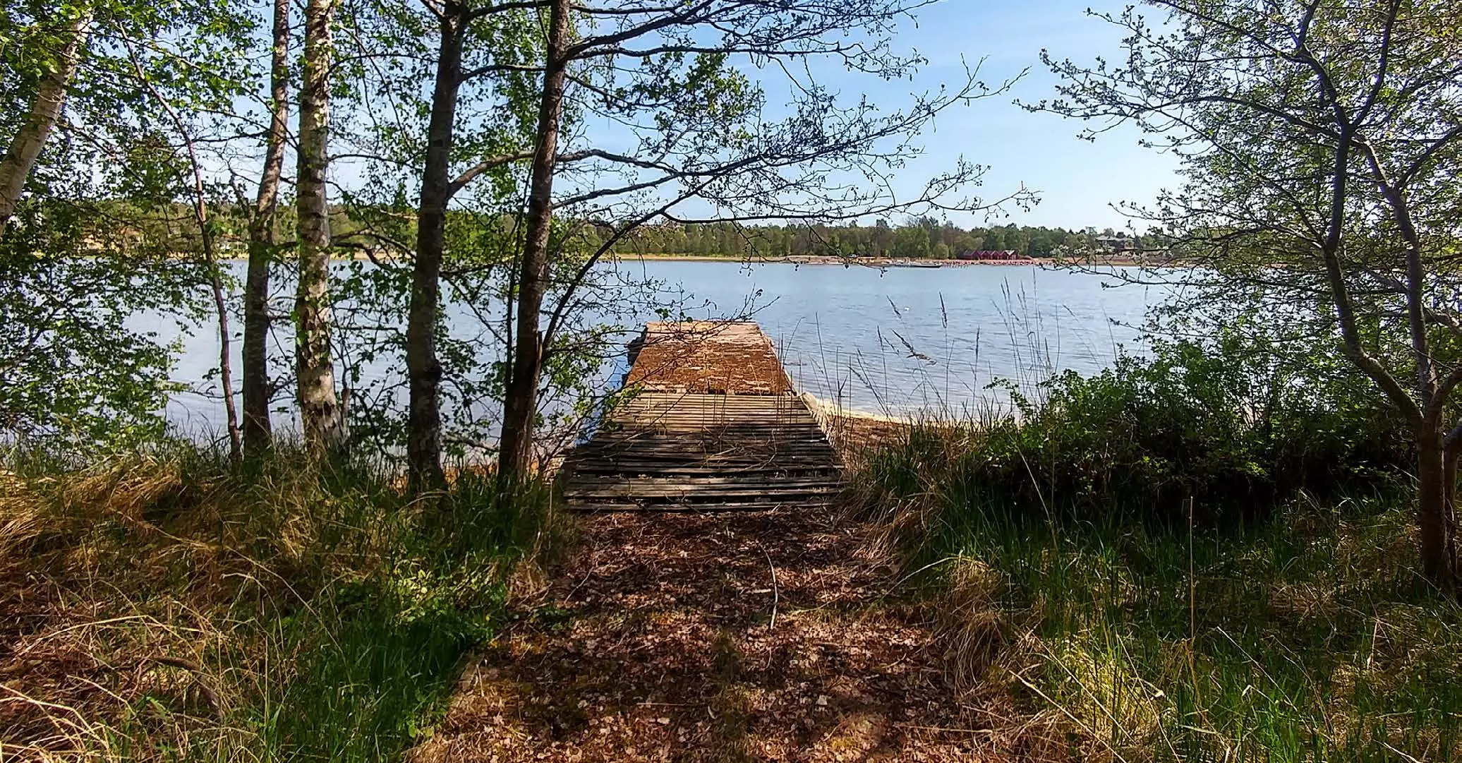 Självhushållningens psykologi