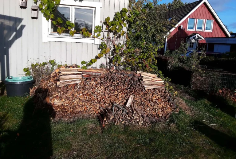 Skattkärr