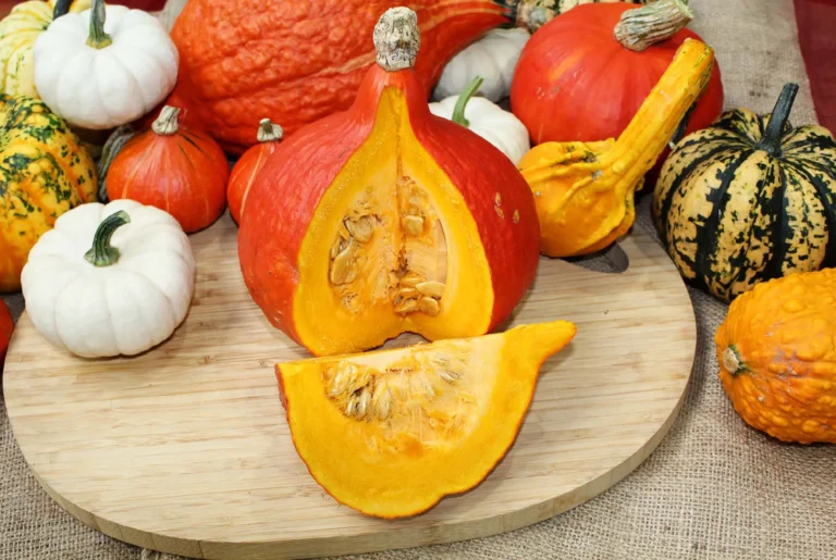 Odla pumpor