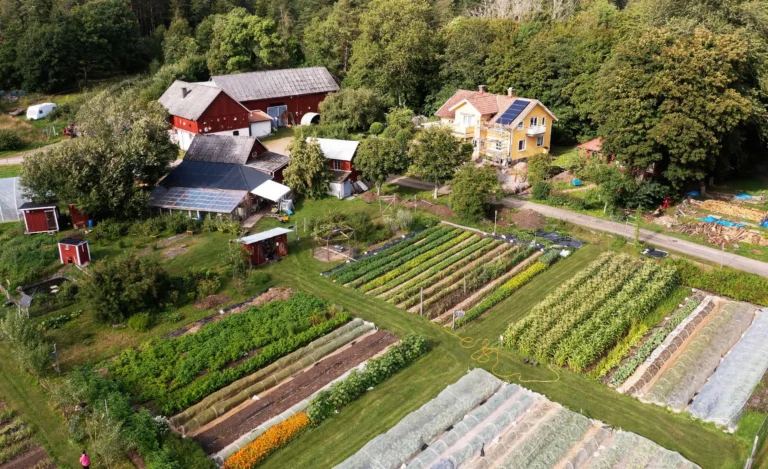 Mina viktigaste odlingsredskap