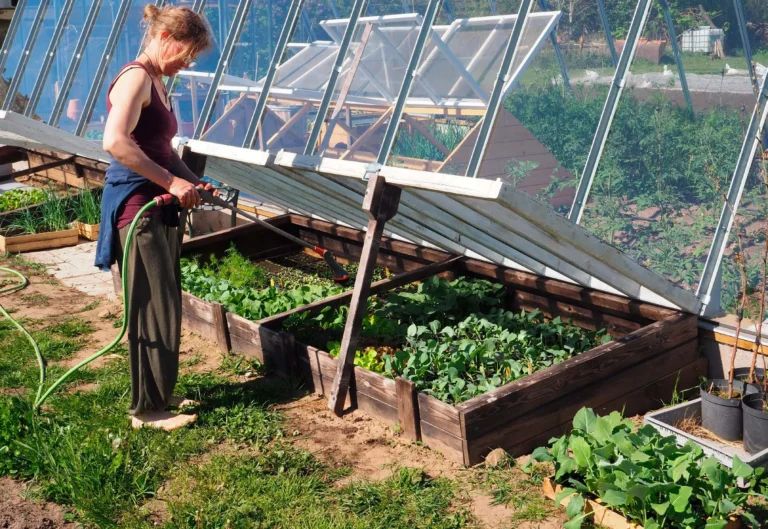 Plantuppdragning utan plast