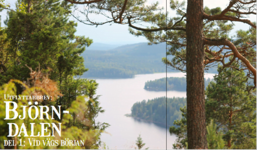 Björndalen