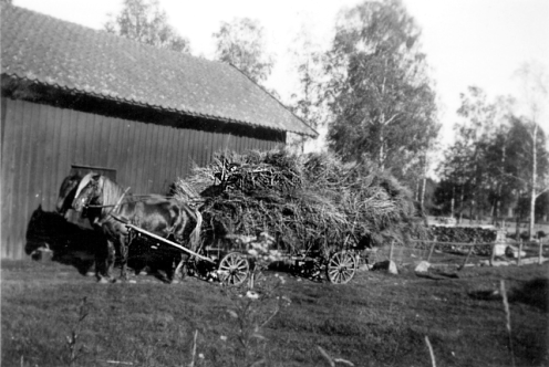 Mitt liv som torparunge 1929-1946
