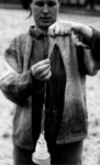 Skribenter